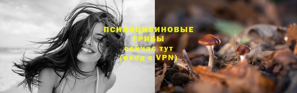 spice Алексин
