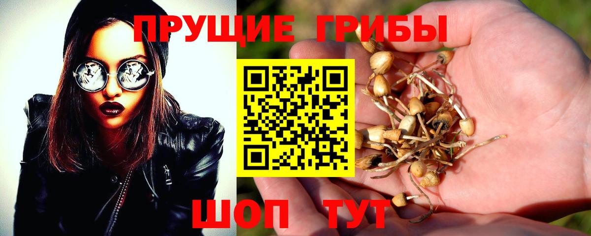 Галлюциногенные грибы Magic Shrooms  Галлюциногенные грибы GOLDEN TEACHER  Вход с VPN  Солнечногорск 
