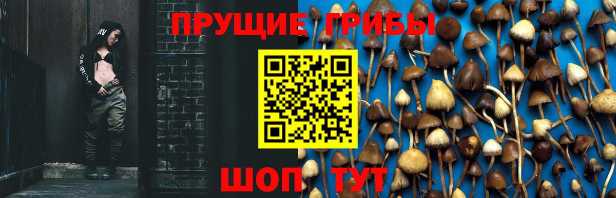 Псилоцибиновые грибы GOLDEN TEACHER Солнечногорск